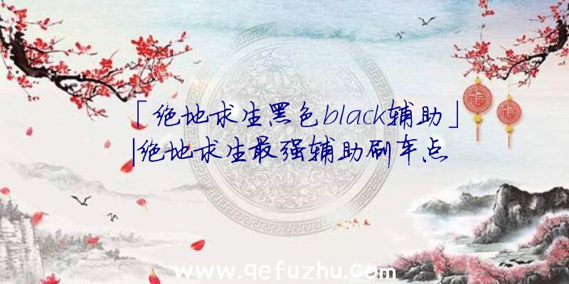 「绝地求生黑色black辅助」|绝地求生最强辅助刷车点